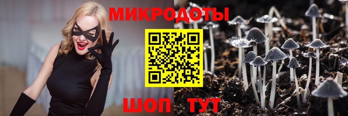 Курчатов  Галлюциногенные грибы ЛСД  Вход с VPN 