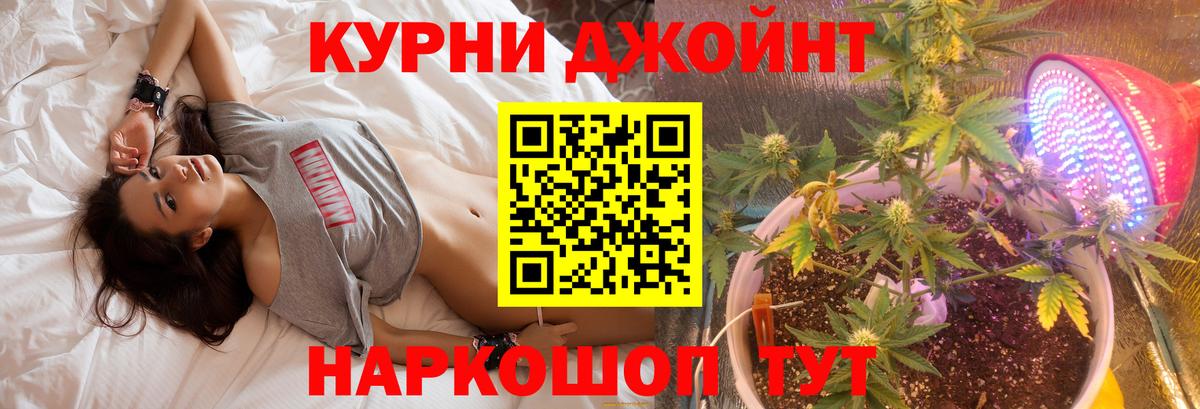 Конопля гибрид Курчатов